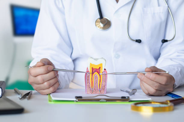 Best Emergency Dental Care for Sports Injuries in Amesti, CA